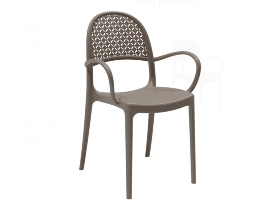 18 chaises avec accoudoirs Elsa Areta
