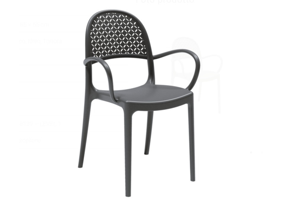 18 chaises avec accoudoirs Elsa Areta