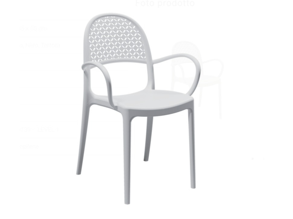18 chaises avec accoudoirs Elsa Areta