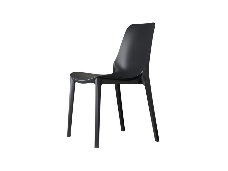 6 Sedie Ginevra Scab