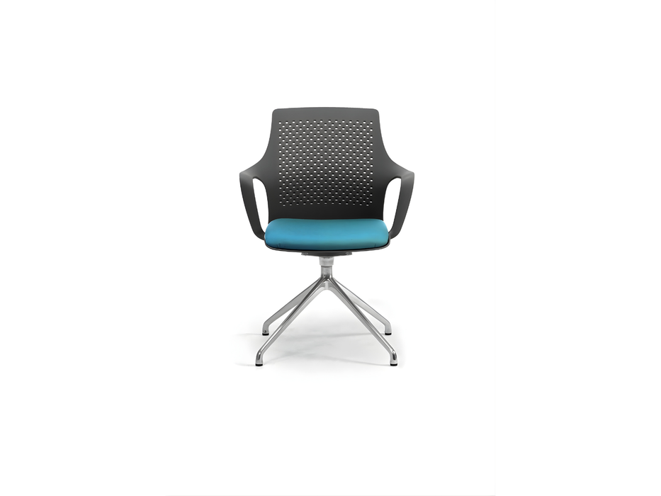 Ipa Chair with Padded Seat