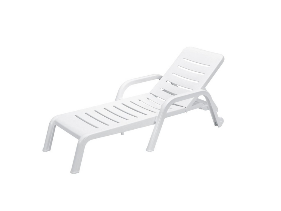 16 Lettini Casablanca Scab